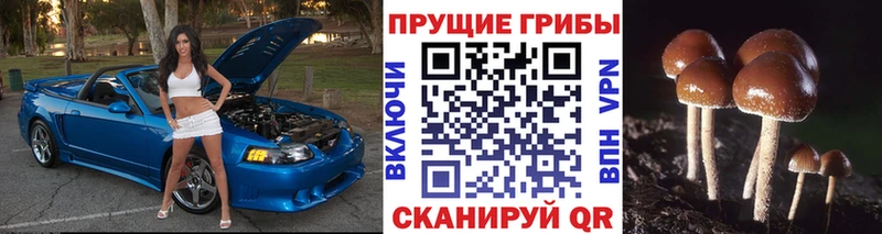 цена наркотик Ачинск Галлюциногенные грибы прущие грибы