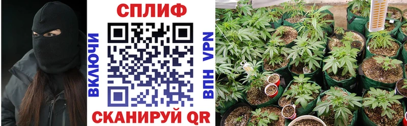 Бошки Шишки марихуана Ачинск